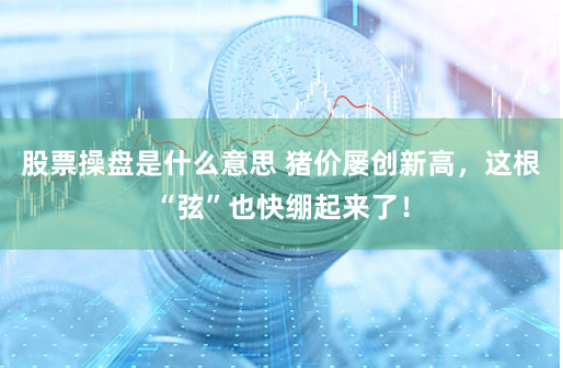 股票操盘是什么意思 猪价屡创新高，这根“弦”也快绷起来了！