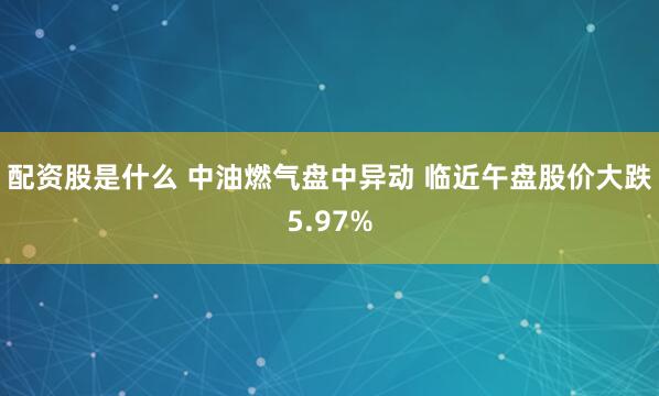 配资股是什么 中油燃气盘中异动 临近午盘股价大跌5.97%